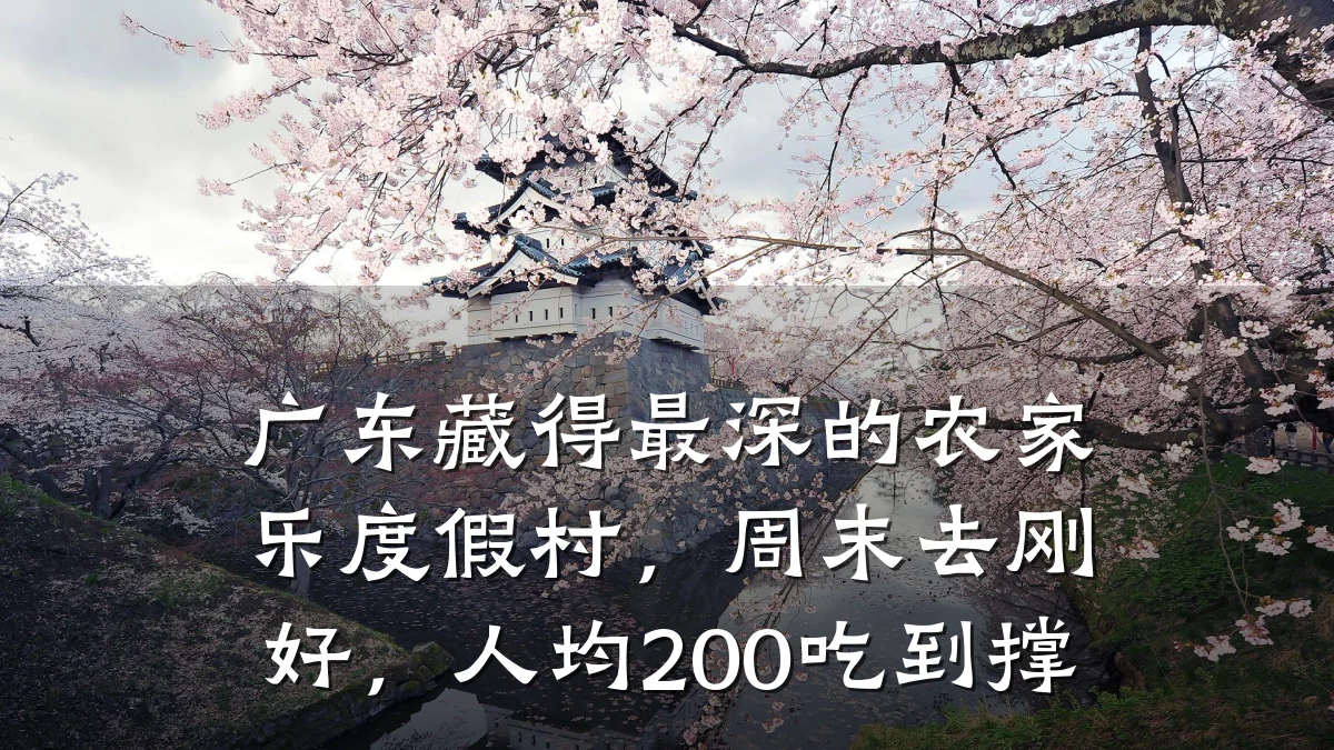 广东藏得最深的农家乐度假村,周末去刚好,人均200吃到撑