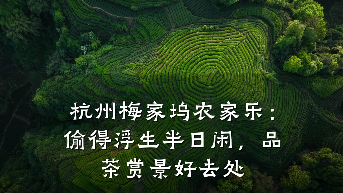 杭州梅家坞农家乐:偷得浮生半日闲,品茶赏景好去处