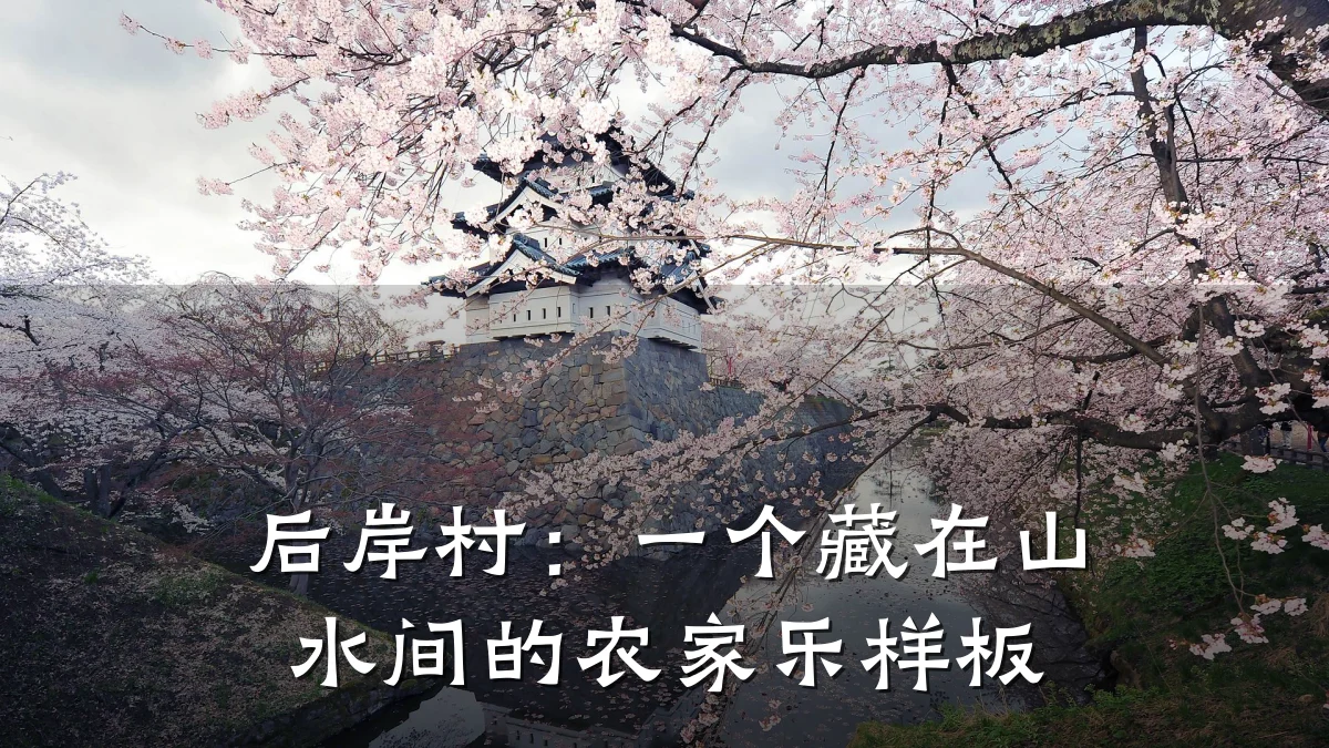 后岸村:一个藏在山水间的农家乐样板