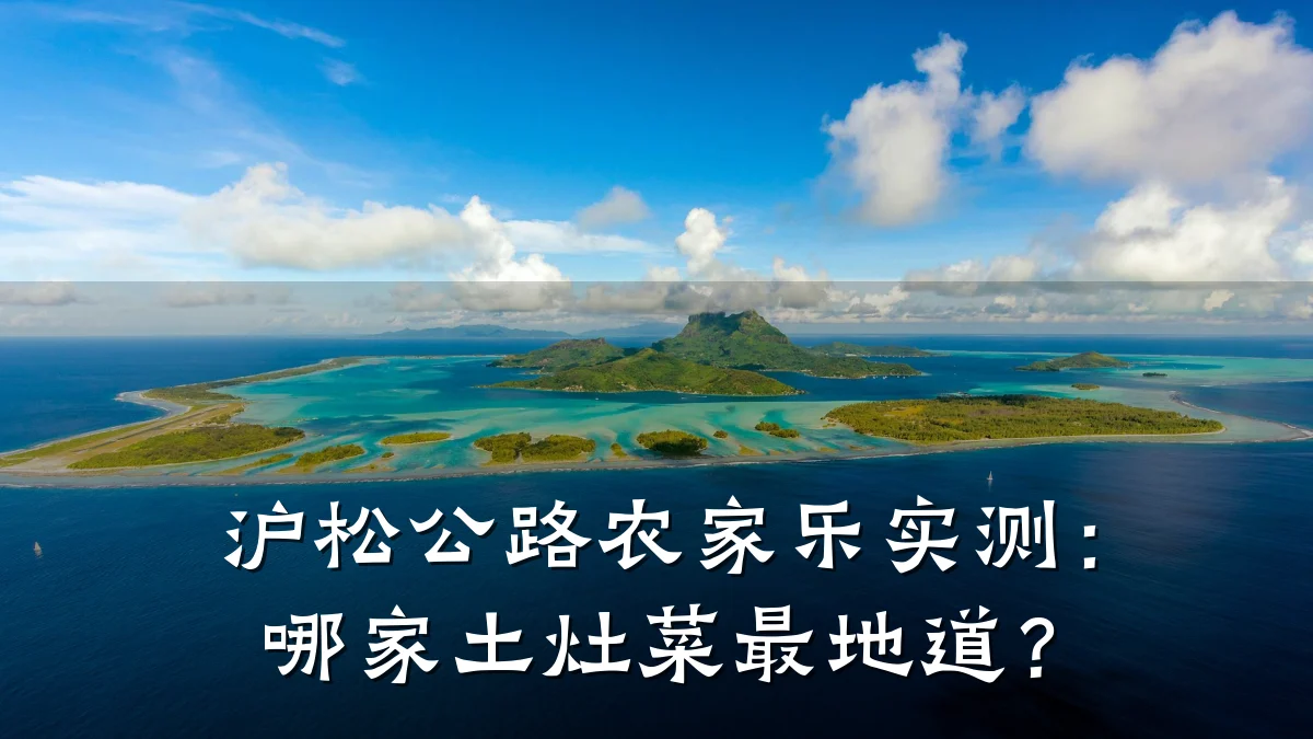 沪松公路农家乐实测:哪家土灶菜最地道?