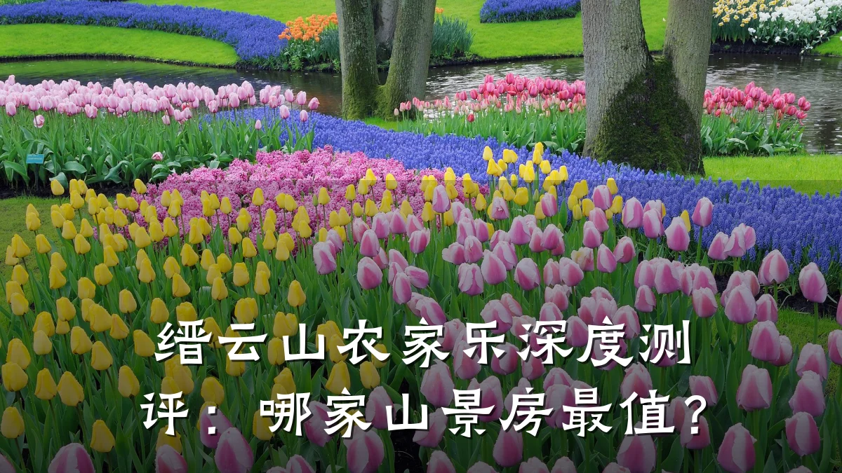 缙云山农家乐深度测评:哪家山景房最值?