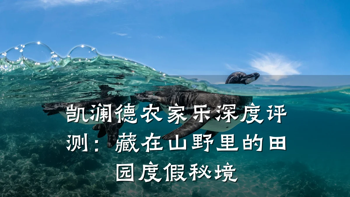 凯澜德农家乐深度评测:藏在山野里的田园度假秘境