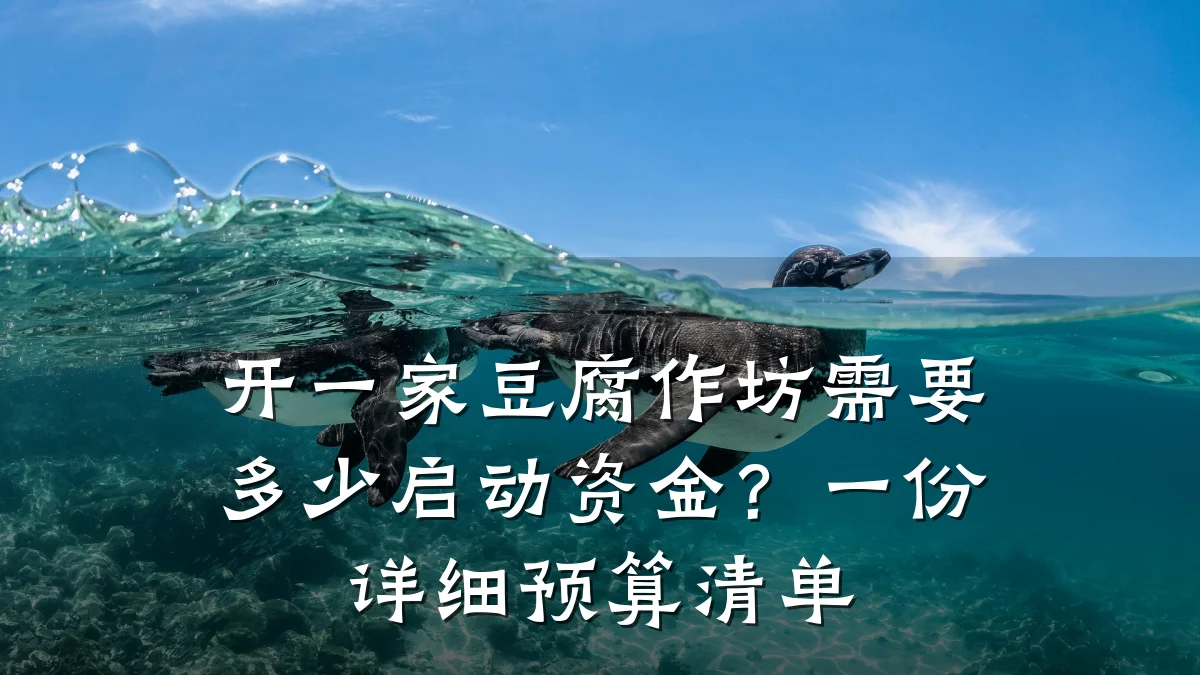 开一家豆腐作坊需要多少启动资金?一份详细预算清单