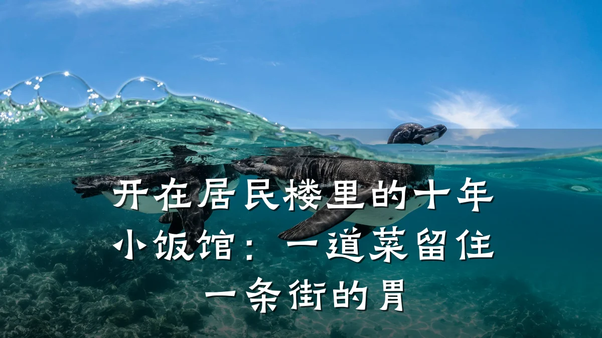 开在居民楼里的十年小饭馆:一道菜留住一条街的胃