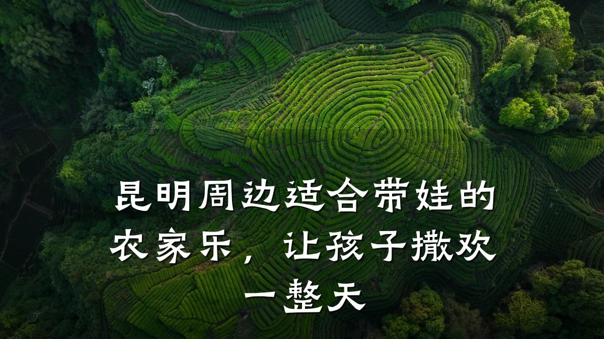 昆明周边适合带娃的农家乐,让孩子撒欢一整天
