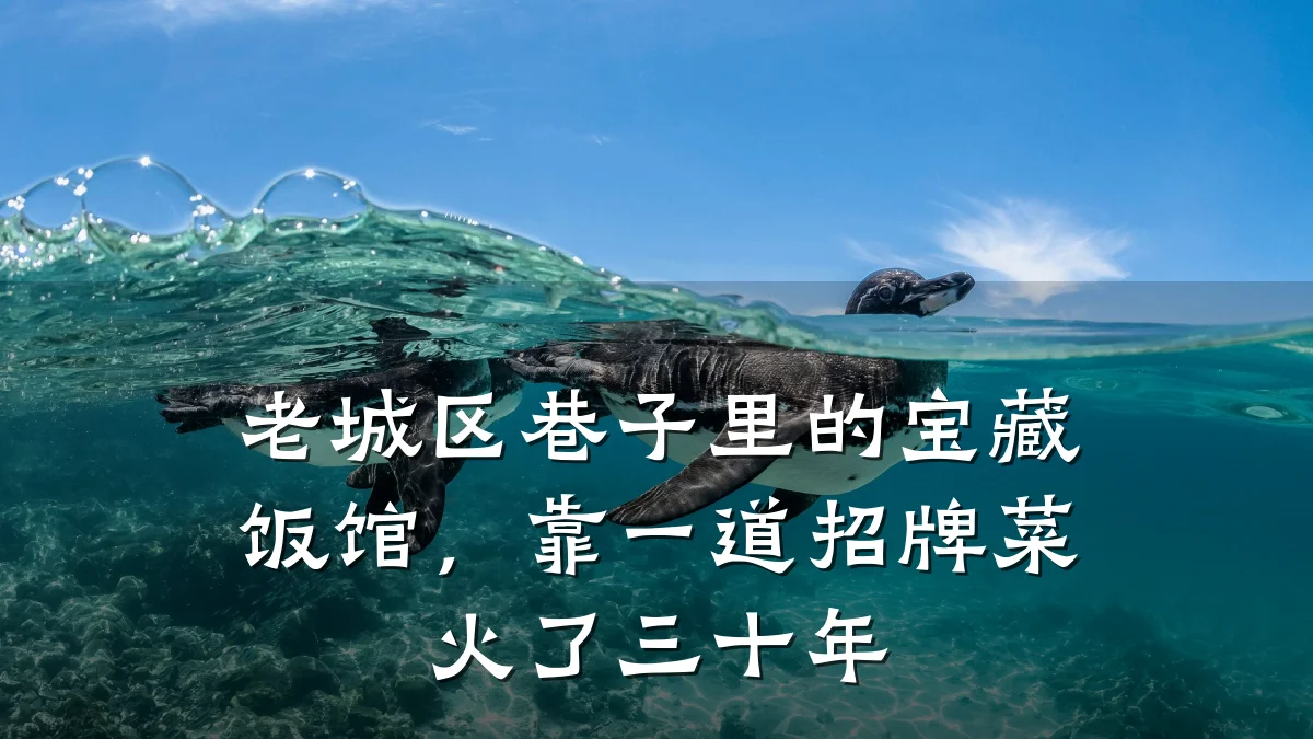 老城区巷子里的宝藏饭馆,靠一道招牌菜火了三十年
