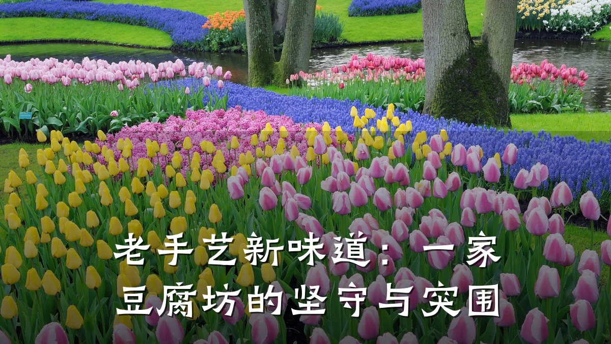 老手艺新味道:一家豆腐坊的坚守与突围