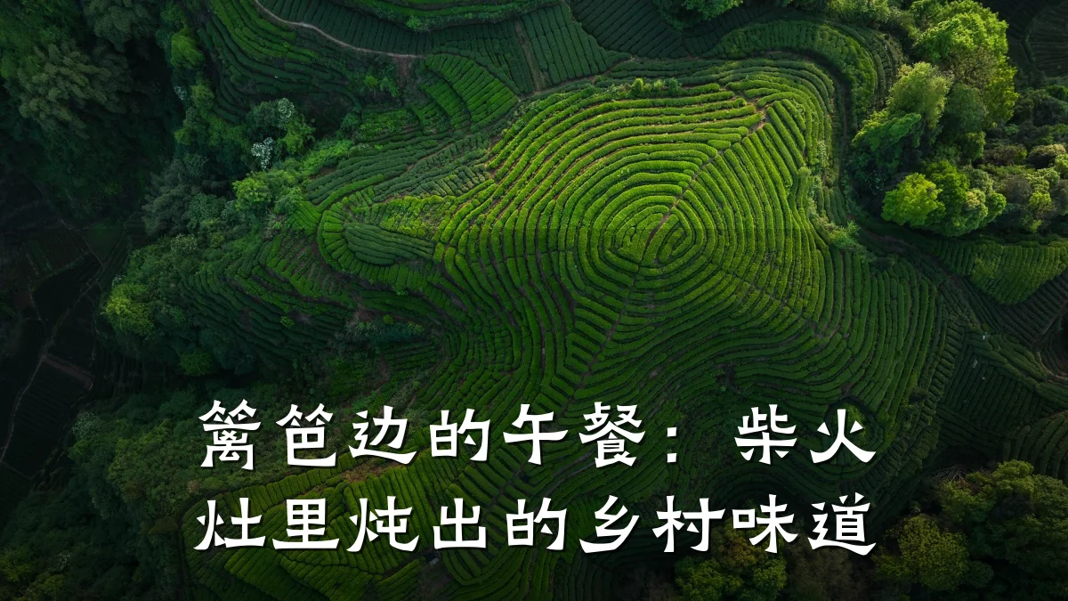 篱笆边的午餐:柴火灶里炖出的乡村味道