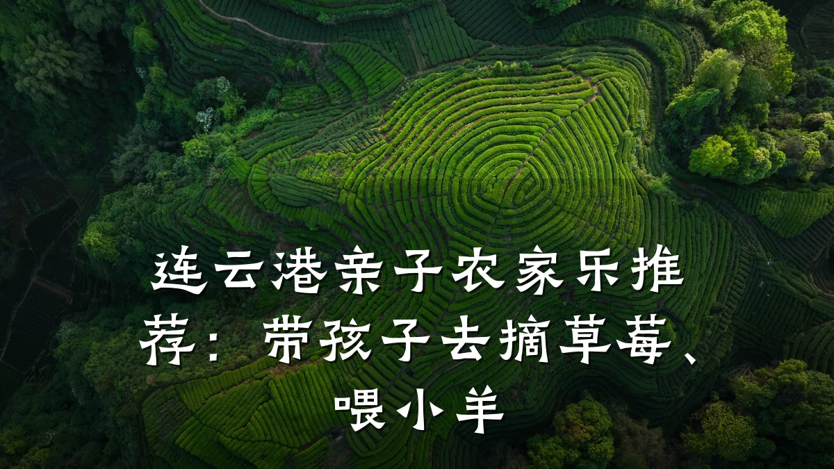 连云港亲子农家乐推荐:带孩子去摘草莓、喂小羊