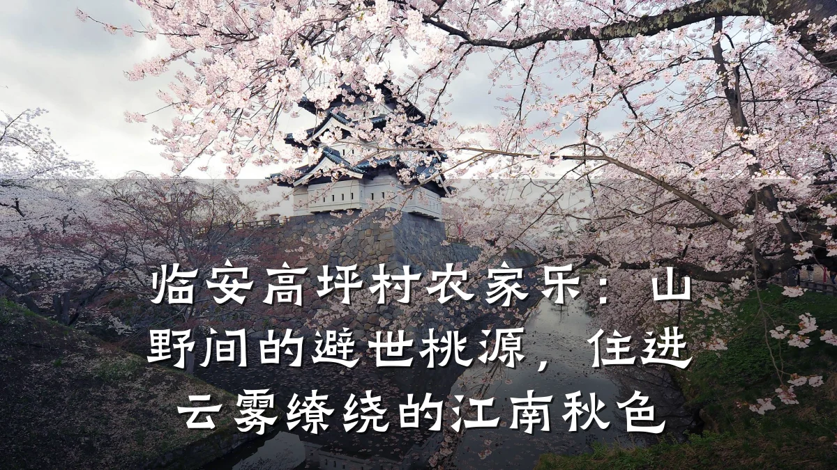 临安高坪村农家乐:山野间的避世桃源,住进云雾缭绕的江南秋色