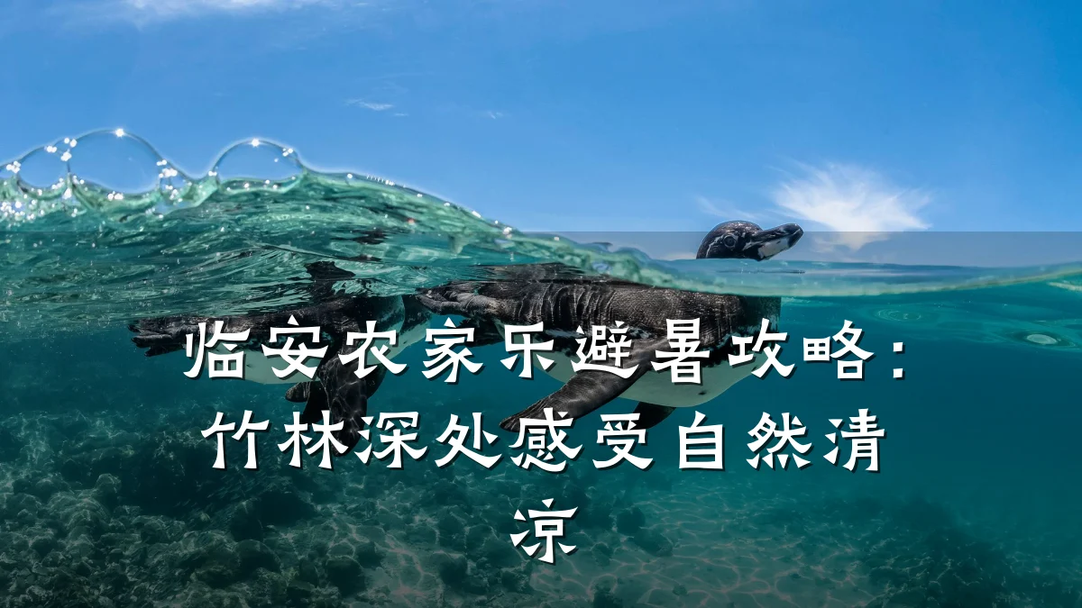 临安农家乐避暑攻略:竹林深处感受自然清凉