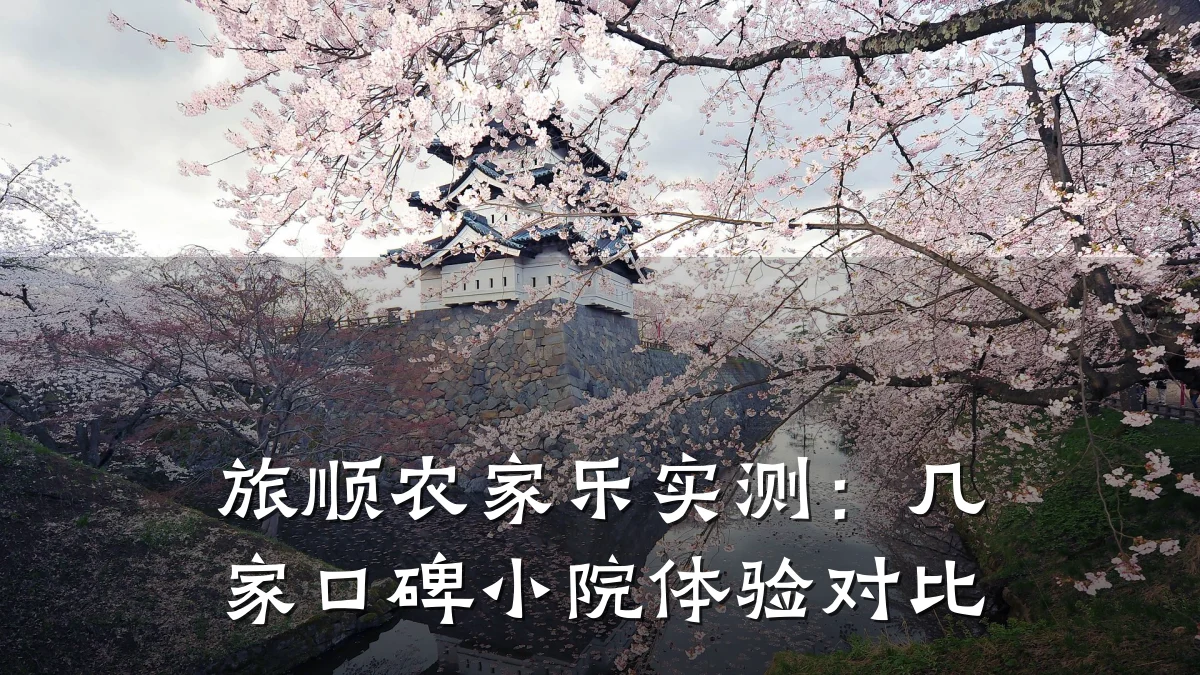 旅顺农家乐实测:几家口碑小院体验对比