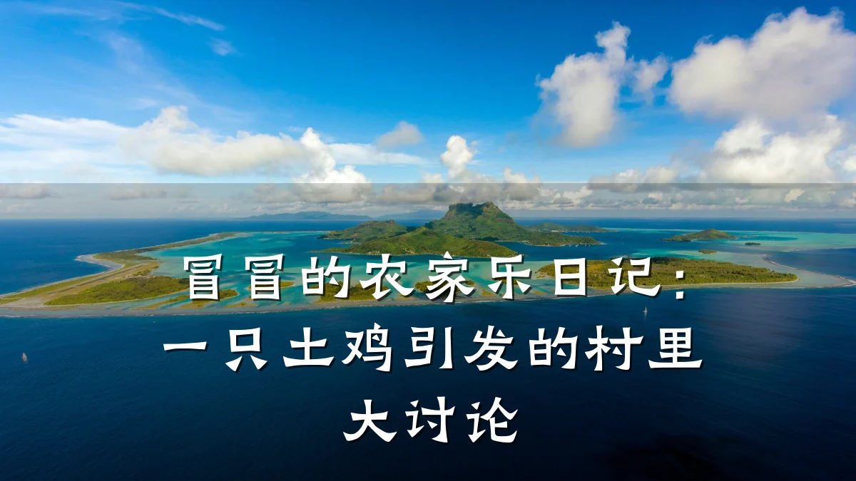 冒冒的农家乐日记:一只土鸡引发的村里大讨论