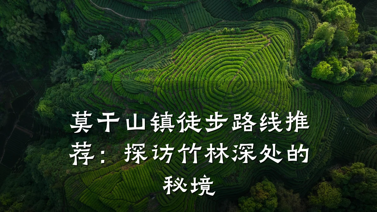 莫干山镇徒步路线推荐:探访竹林深处的秘境