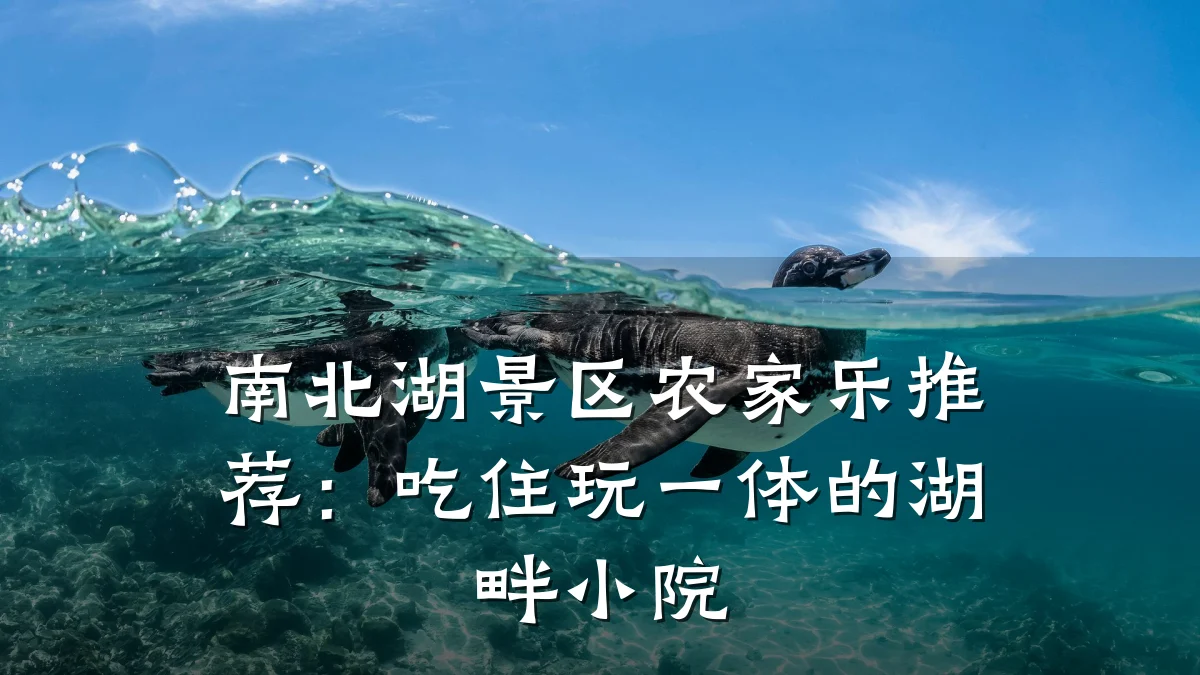 南北湖景区农家乐推荐:吃住玩一体的湖畔小院