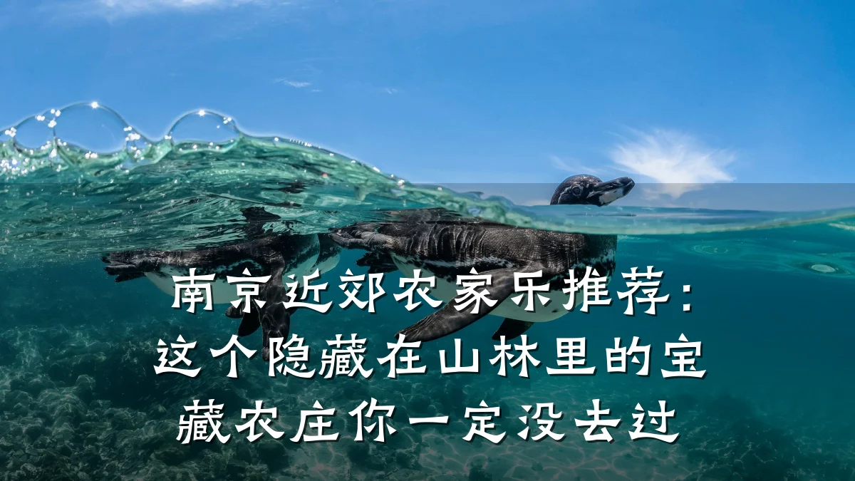 南京近郊农家乐推荐:这个隐藏在山林里的宝藏农庄你一定没去过