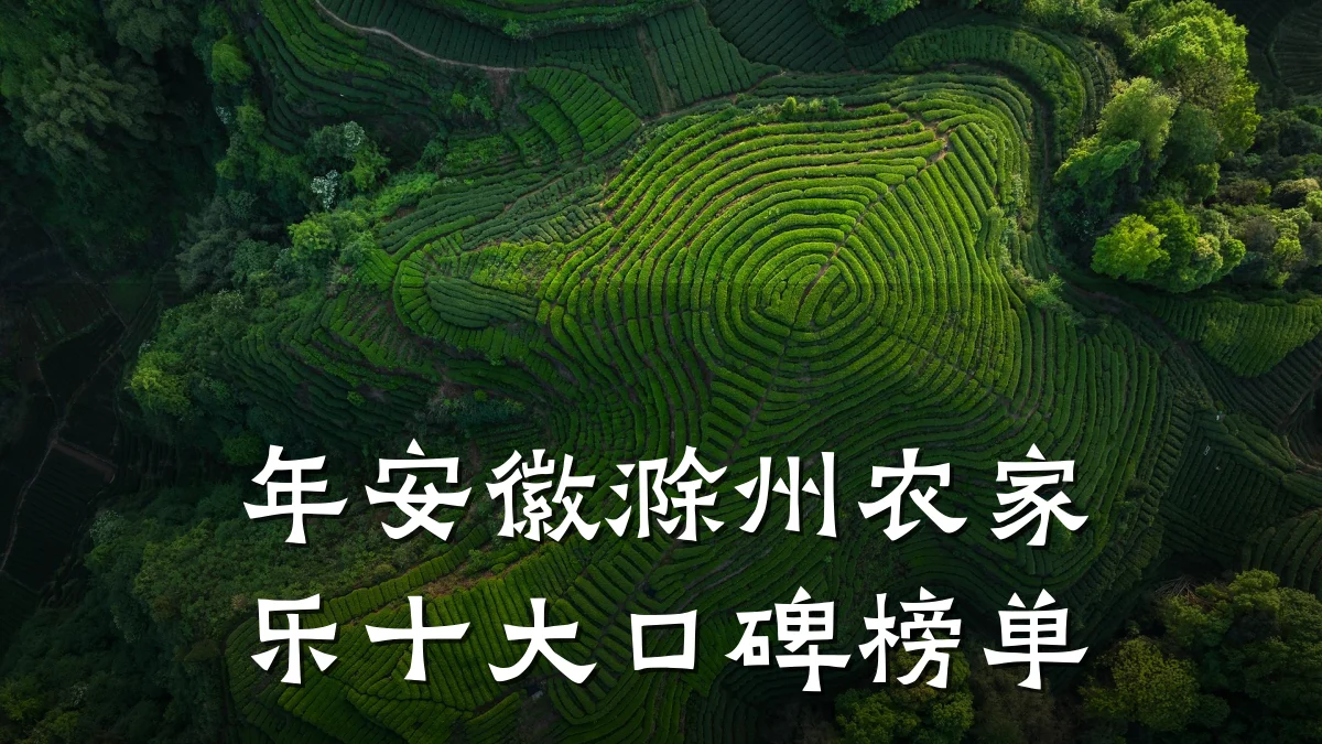 年安徽滁州农家乐十大口碑榜单