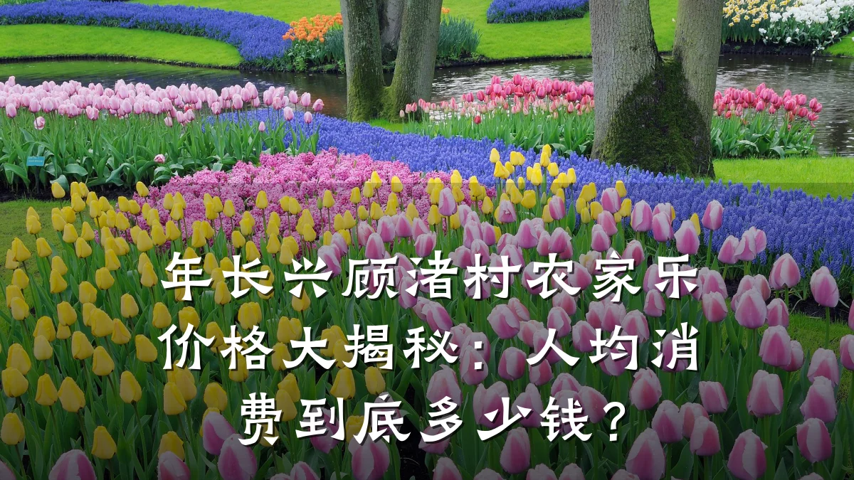 年长兴顾渚村农家乐价格大揭秘:人均消费到底多少钱?