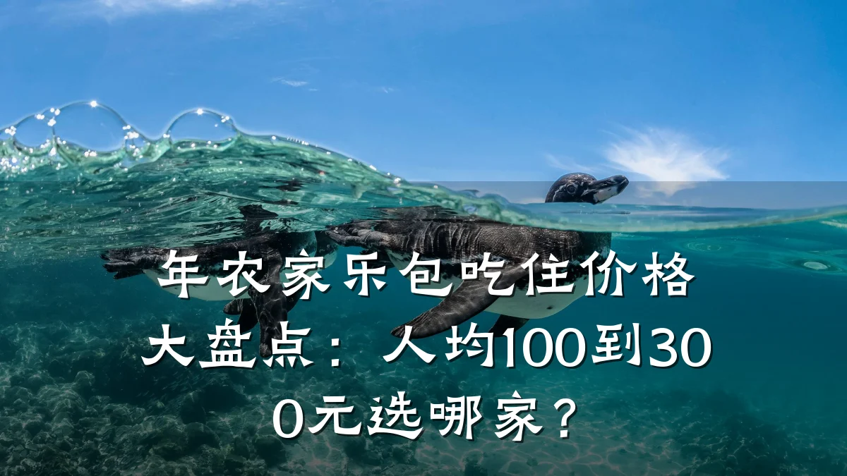 年农家乐包吃住价格大盘点:人均100到300元选哪家?