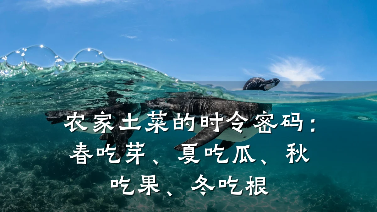 农家土菜的时令密码:春吃芽、夏吃瓜、秋吃果、冬吃根