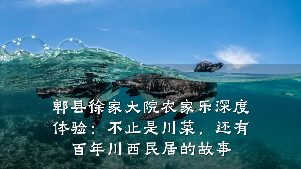 郫县徐家大院农家乐深度体验:不止是川菜,还有百年川西民居的故事
