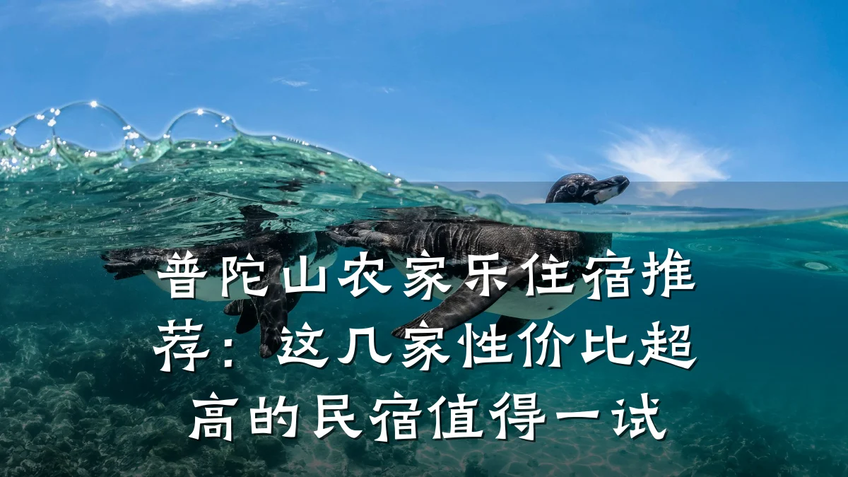 普陀山农家乐住宿推荐:这几家性价比超高的民宿值得一试