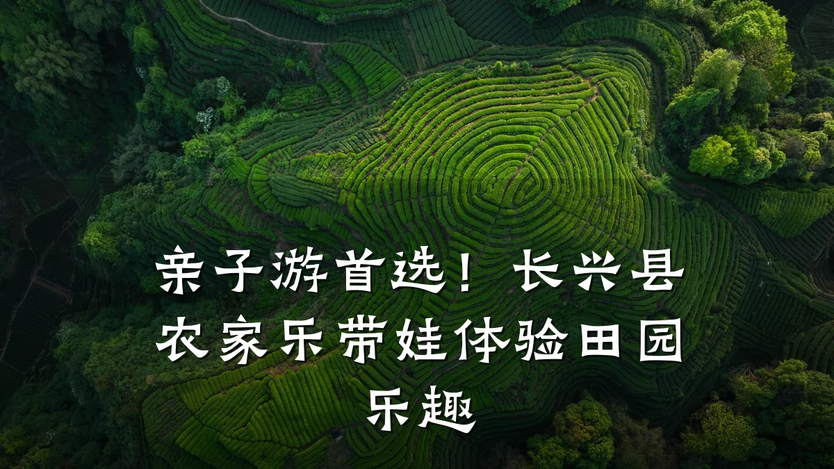 亲子游首选!长兴县农家乐带娃体验田园乐趣