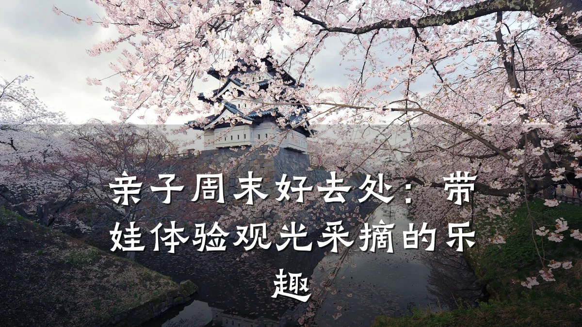 亲子周末好去处:带娃体验观光采摘的乐趣