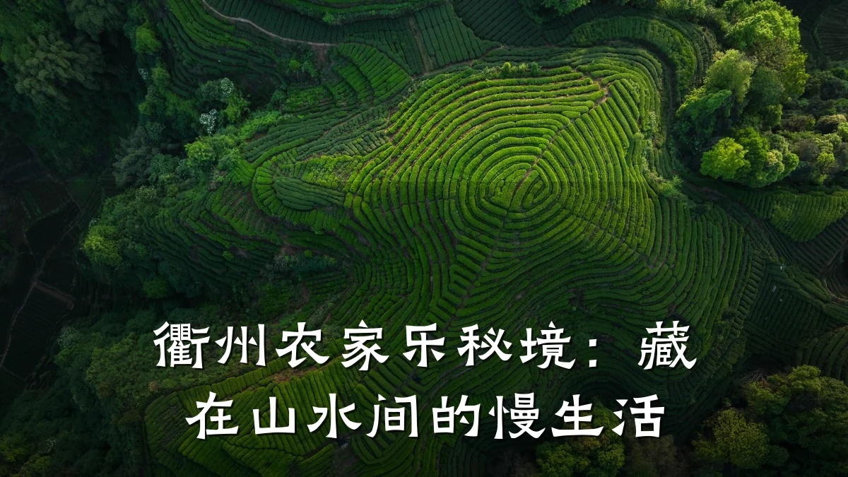 衢州农家乐秘境:藏在山水间的慢生活