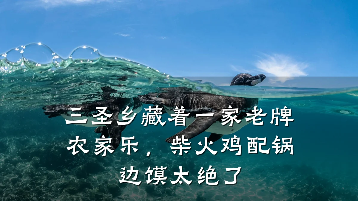 三圣乡藏着一家老牌农家乐,柴火鸡配锅边馍太绝了
