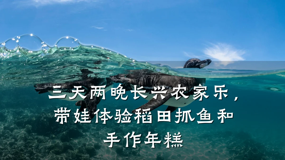 三天两晚长兴农家乐,带娃体验稻田抓鱼和手作年糕