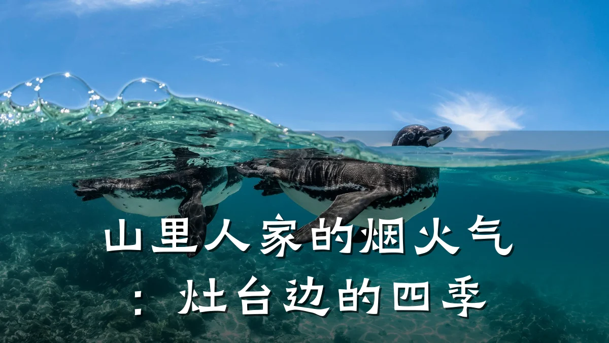 山里人家的烟火气:灶台边的四季