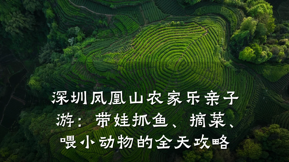 深圳凤凰山农家乐亲子游:带娃抓鱼、摘菜、喂小动物的全天攻略