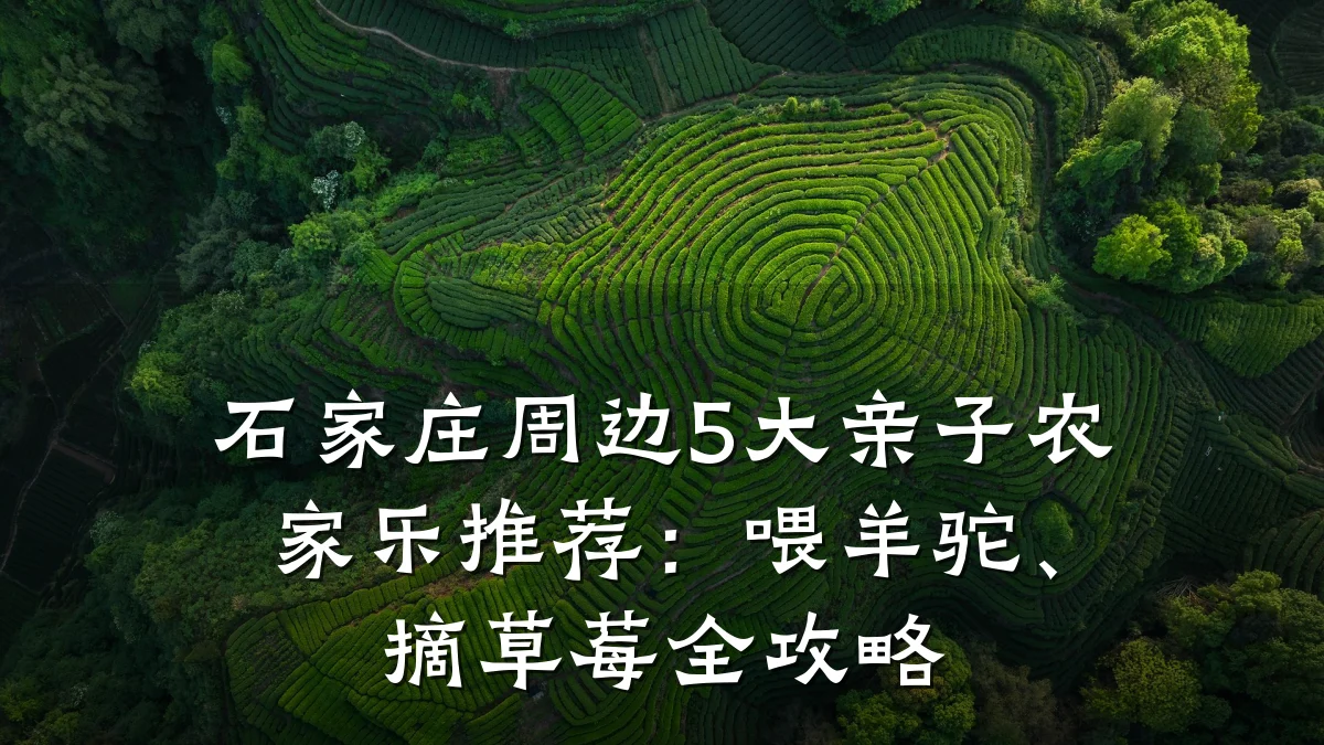 石家庄周边5大亲子农家乐推荐:喂羊驼、摘草莓全攻略
