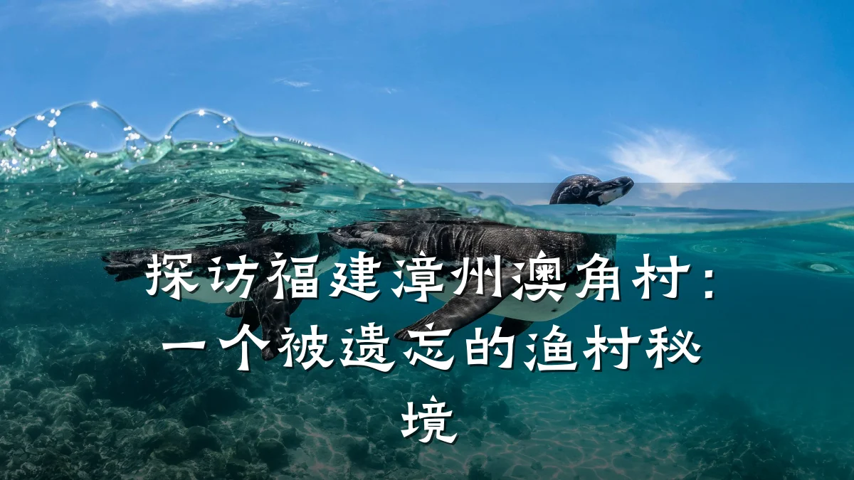 探访福建漳州澳角村:一个被遗忘的渔村秘境