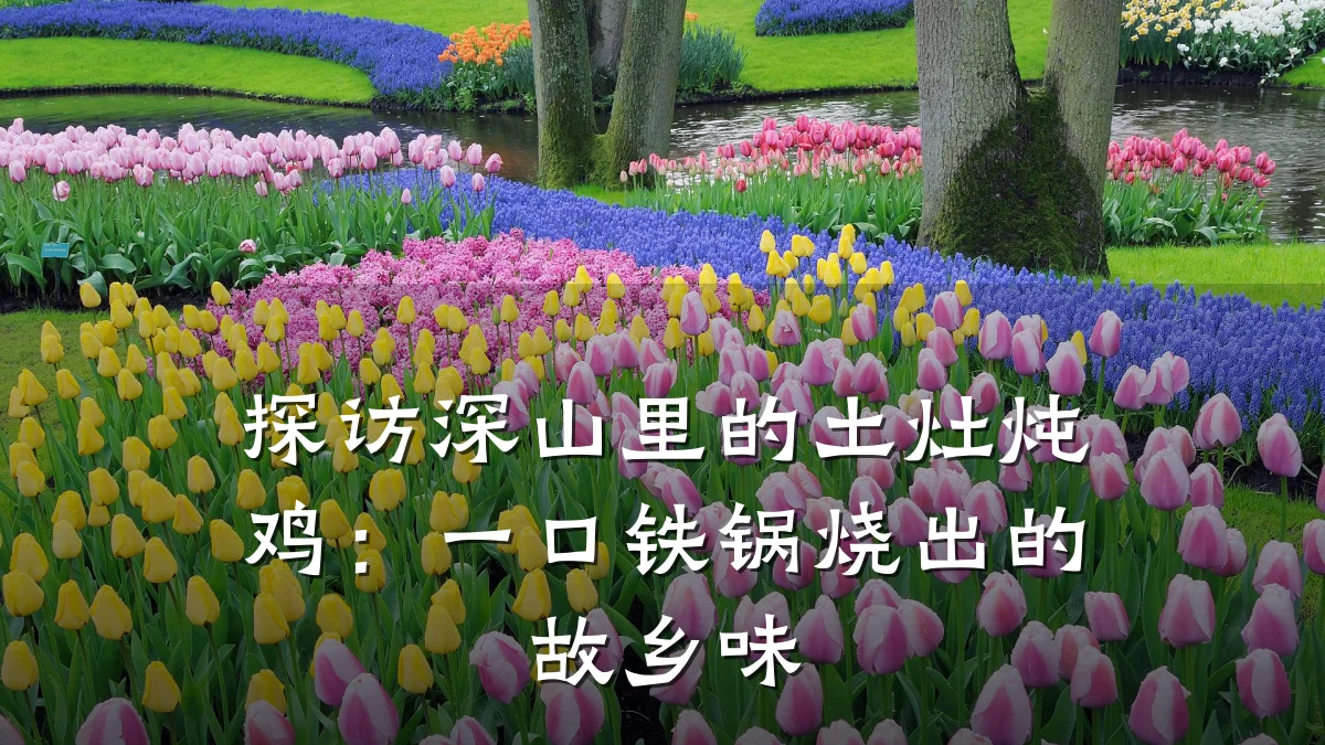 探访深山里的土灶炖鸡:一口铁锅烧出的故乡味