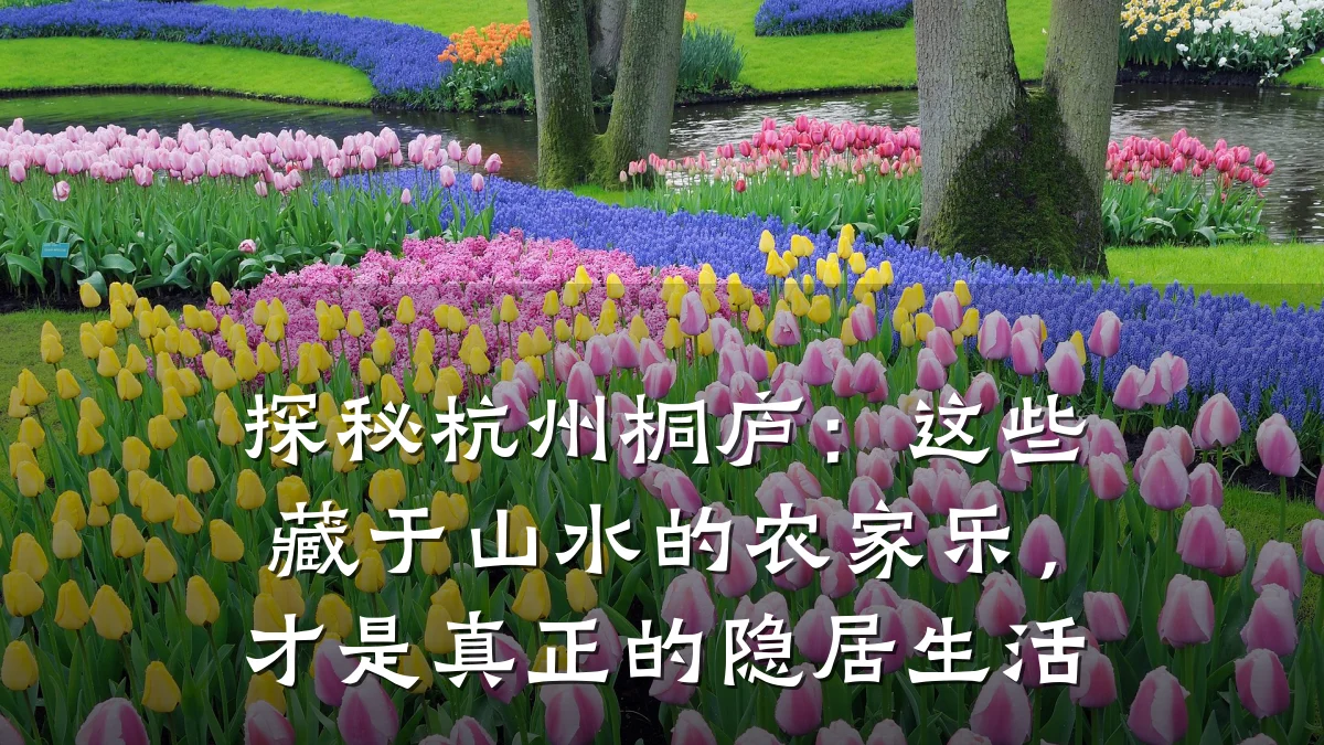探秘杭州桐庐:这些藏于山水的农家乐,才是真正的隐居生活