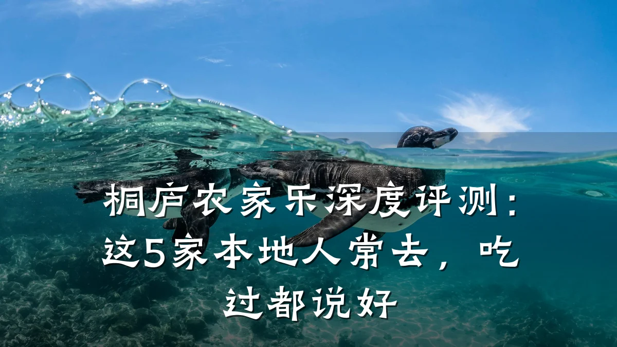 桐庐农家乐深度评测:这5家本地人常去,吃过都说好