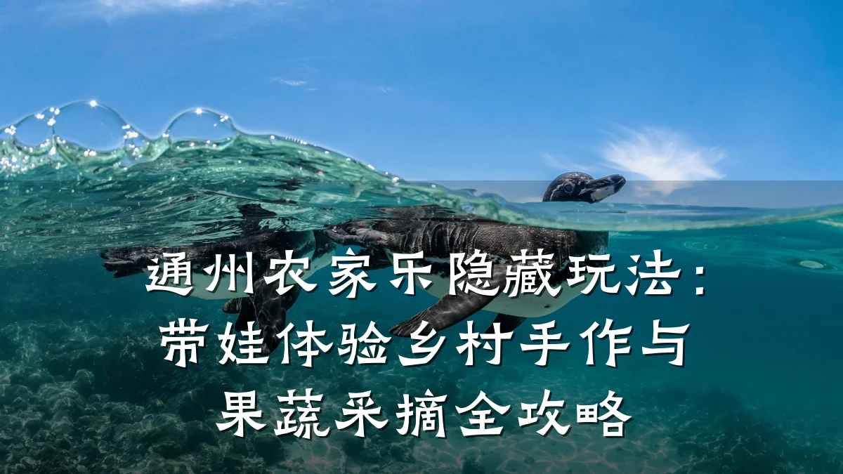 通州农家乐隐藏玩法:带娃体验乡村手作与果蔬采摘全攻略