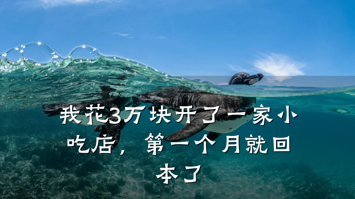 我花3万块开了一家小吃店,第一个月就回本了