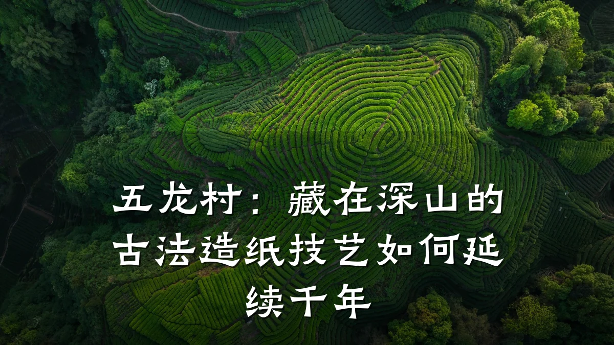 五龙村:藏在深山的古法造纸技艺如何延续千年