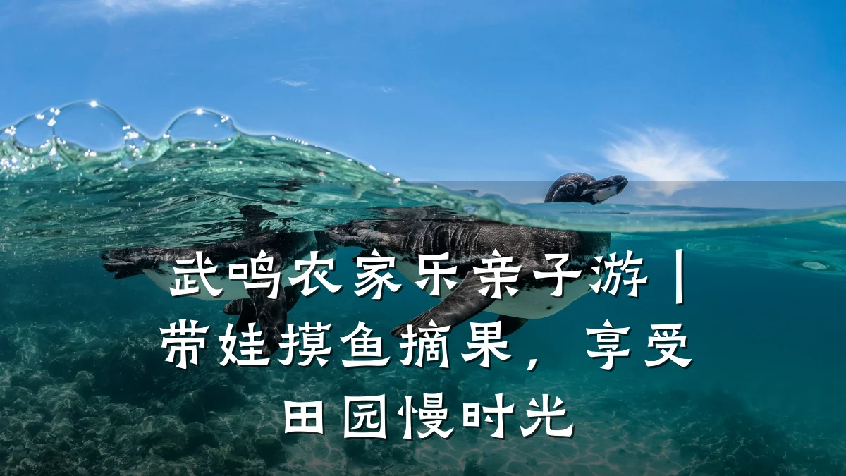 武鸣农家乐亲子游|带娃摸鱼摘果,享受田园慢时光