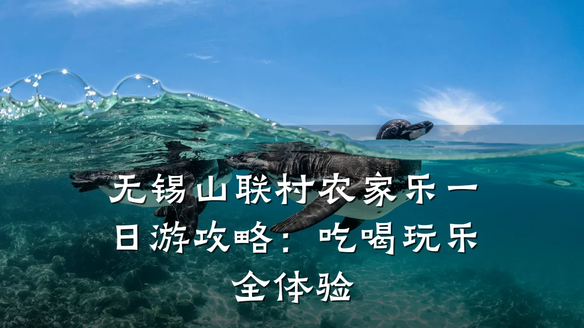 无锡山联村农家乐一日游攻略:吃喝玩乐全体验