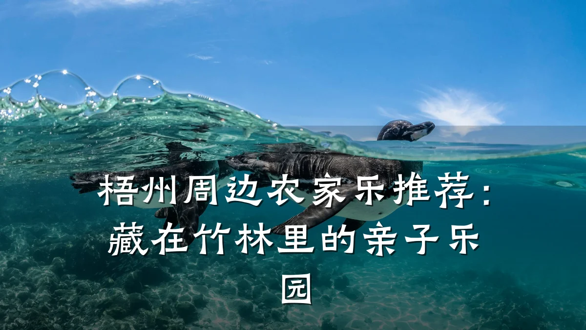 梧州周边农家乐推荐:藏在竹林里的亲子乐园