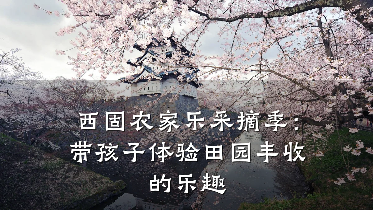 西固农家乐采摘季:带孩子体验田园丰收的乐趣