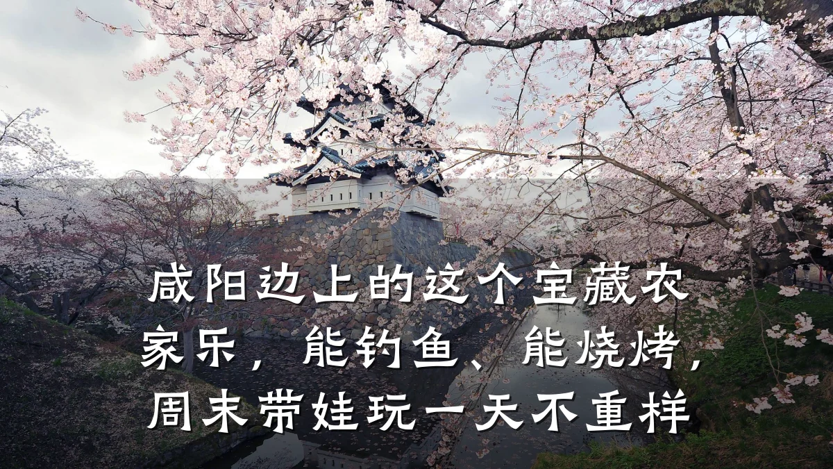 咸阳边上的这个宝藏农家乐,能钓鱼、能烧烤,周末带娃玩一天不重样