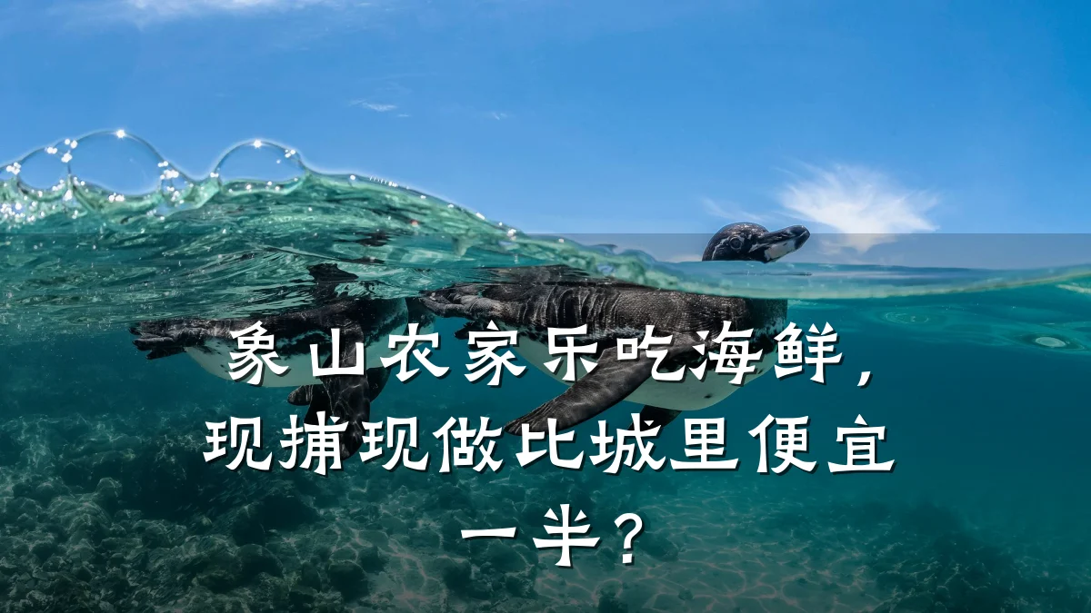 象山农家乐吃海鲜,现捕现做比城里便宜一半?