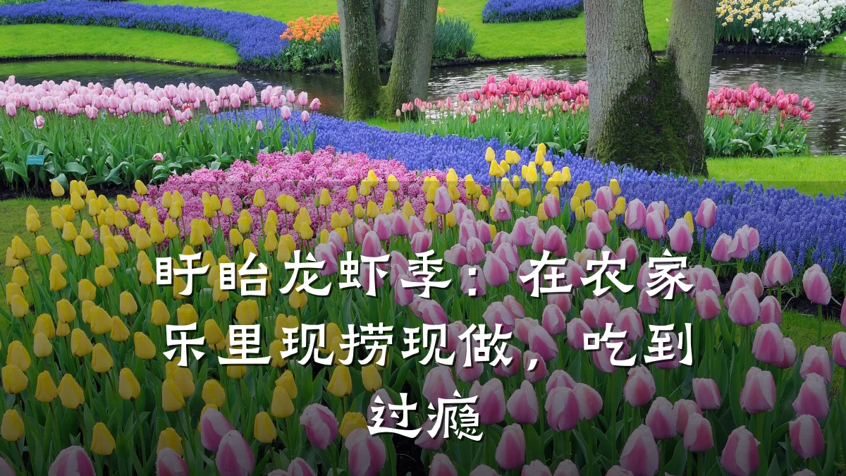 盱眙龙虾季:在农家乐里现捞现做,吃到过瘾
