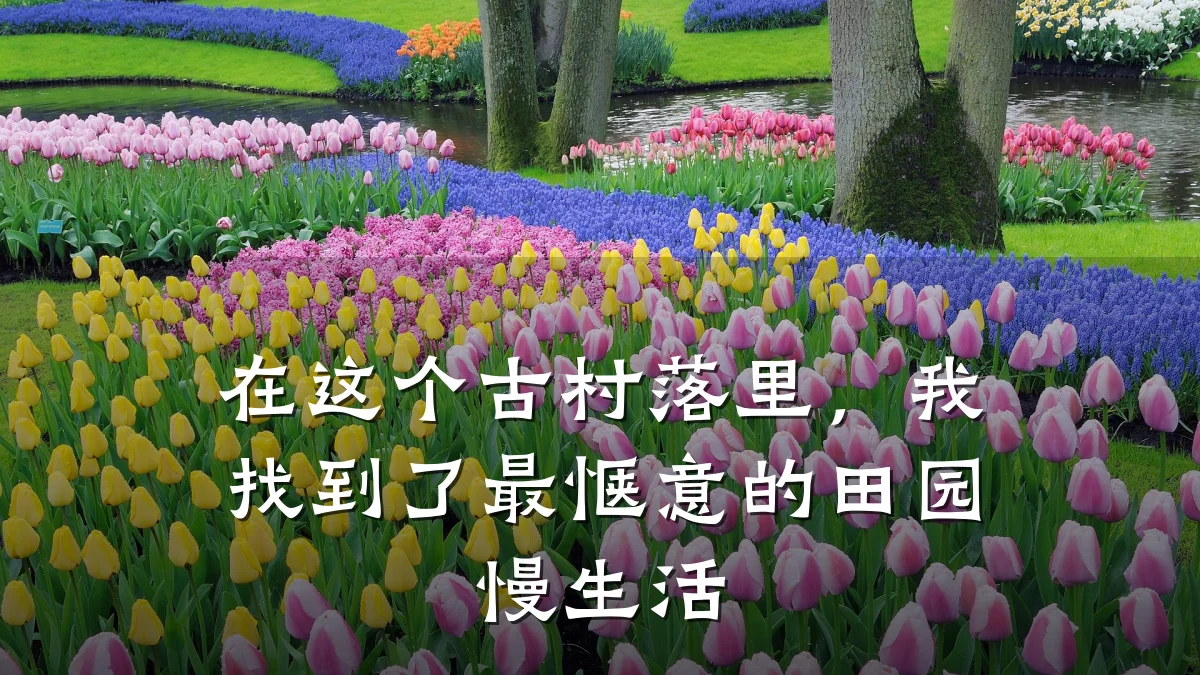 在这个古村落里,我找到了最惬意的田园慢生活