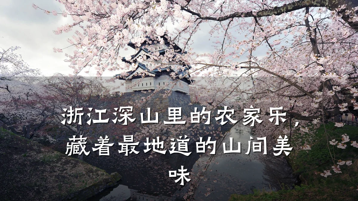 浙江深山里的农家乐,藏着最地道的山间美味